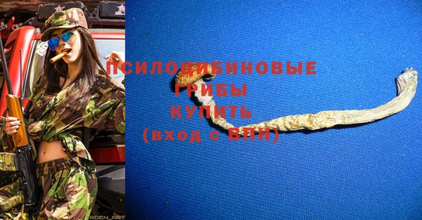 твердый Алексин